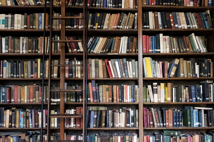 A library with many books and a ladder for those who love to read.